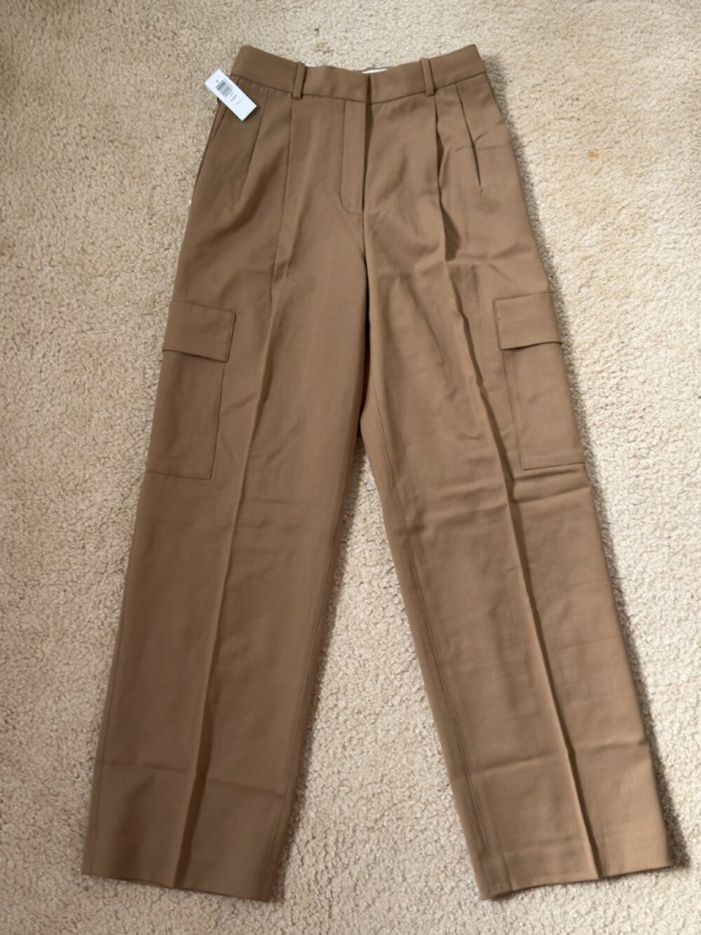 Aritzia Babaton Cargo pant